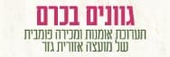 גוונים בכרם - תערוכת אמנות מועצה אזורית גזר
