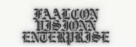 FAALCON VISIONN ENTERPRISE