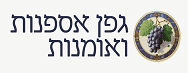 גפן אספנות ואומנות