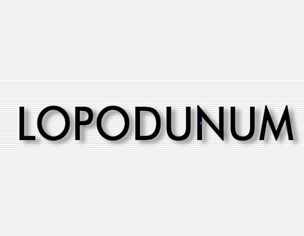 Lopodunum Schmuckauktion