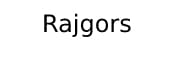 Rajgors Auction
