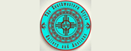 SOUTHWESTERN STYLE GALLERY