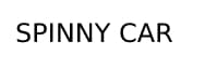 Spinny car auction