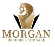 Morgan Breeder's Cup LLC